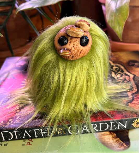 Moss Ball Nymph shelf fungus (brown)