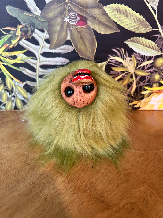 Moss Ball Nymph shelf fungus