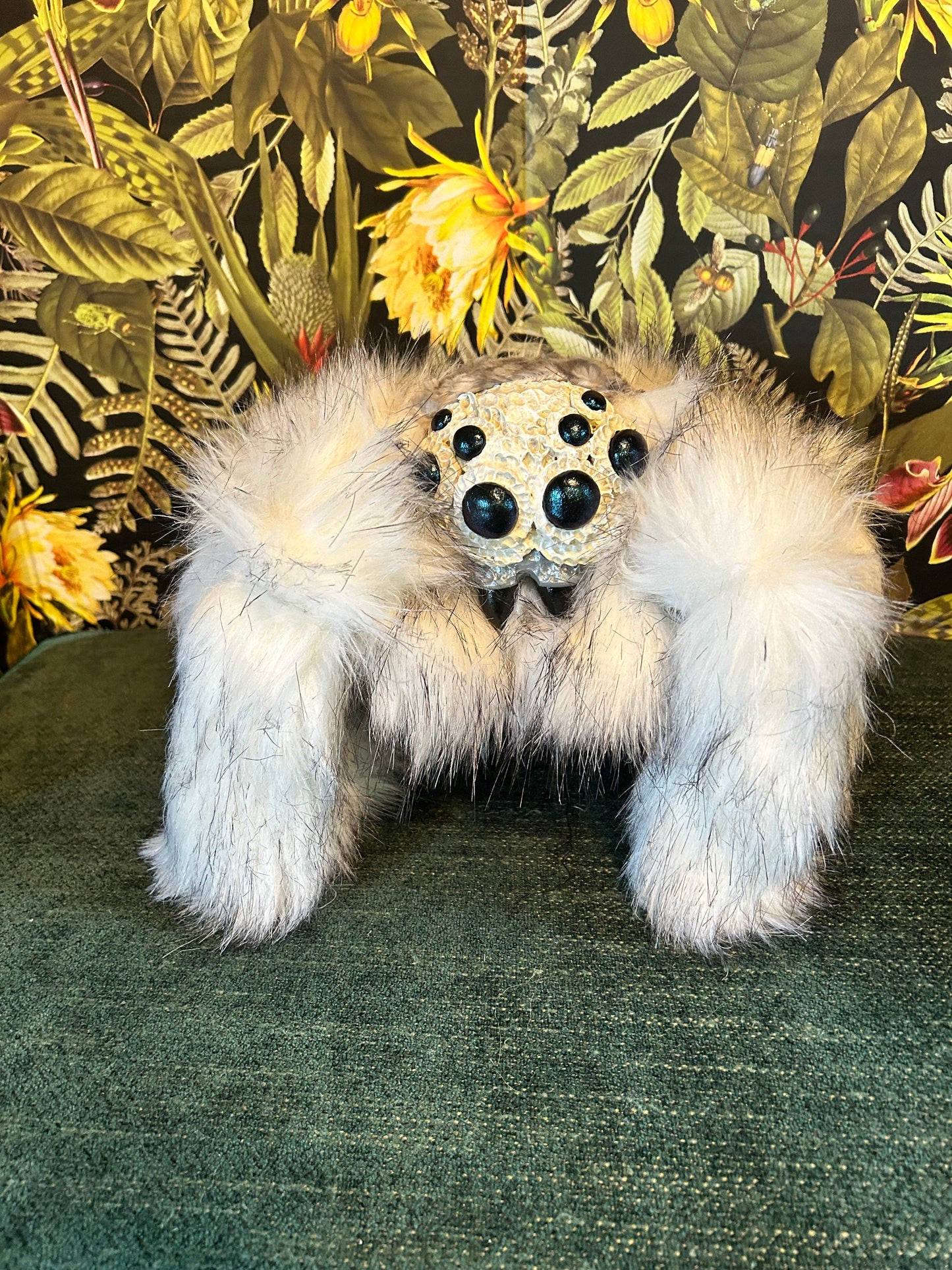 Jumping Spider (white)