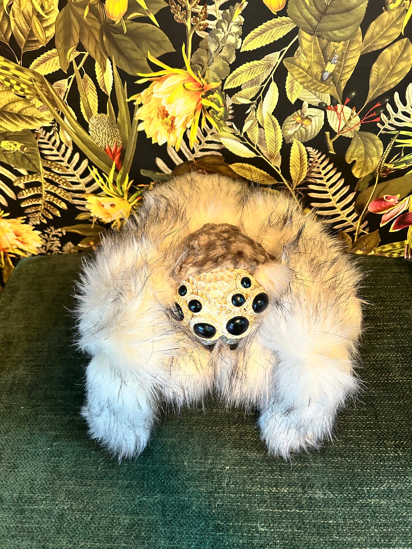 Jumping Spider (white)