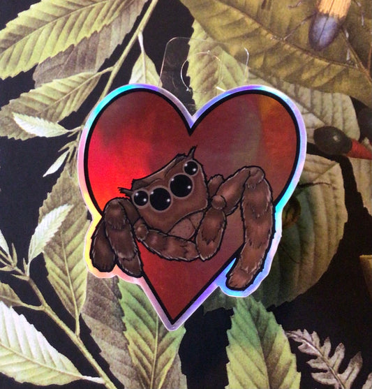 Vinyl Sticker: Jumping Spider ❤️